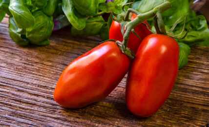 Pomodoro Scatolone di Bolsena - FoodnPlace