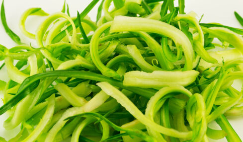 Puntarelle Romane - FoodnPlace